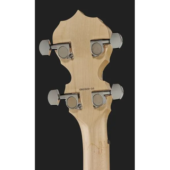 Deering Goodtime Two Banjo