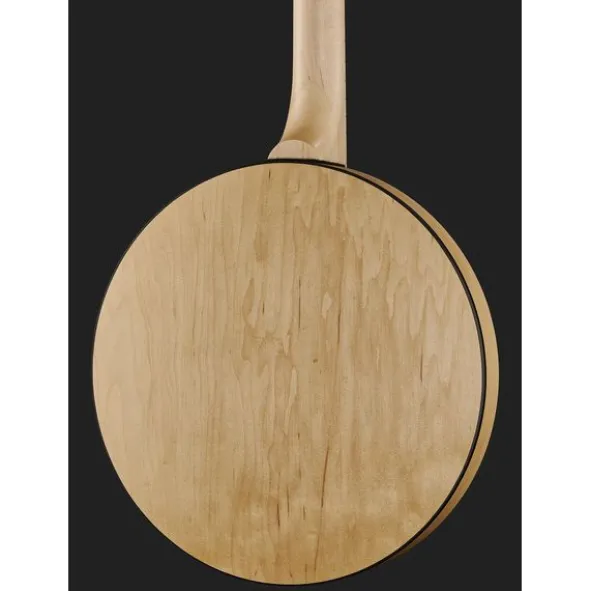 Deering Goodtime Two Banjo