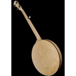 Deering Goodtime Two Banjo