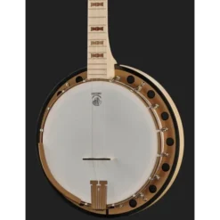 Deering Goodtime Two Banjo