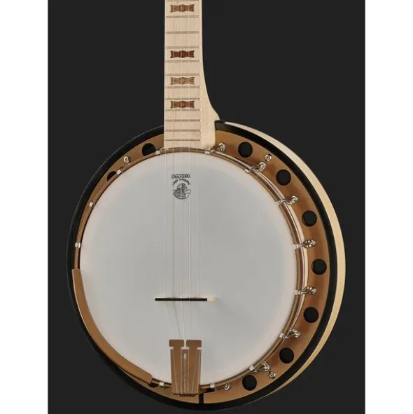 Deering Goodtime Two Banjo