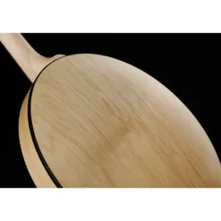 Deering Goodtime Two Banjo
