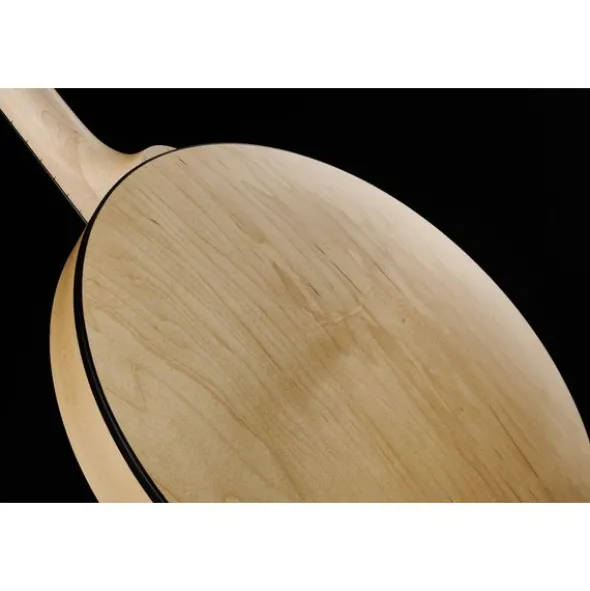 Deering Goodtime Two Banjo