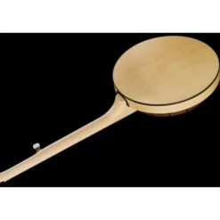 Deering Goodtime Two Banjo