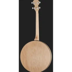 Deering Goodtime Two 17 Fret Tenor