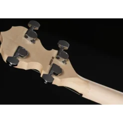 Deering Goodtime Two 17 Fret Tenor
