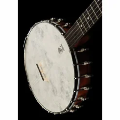 Deering Vega Old Time Wonder 12