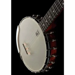Deering Vega Senator 5-String Banjo