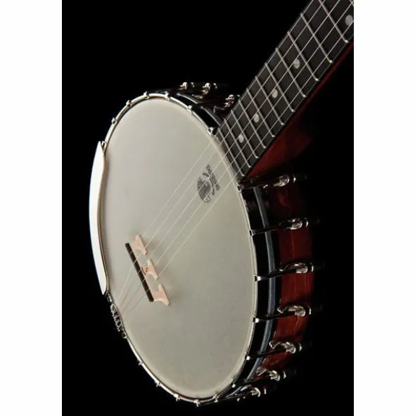 Deering Vega Senator 5-String Banjo