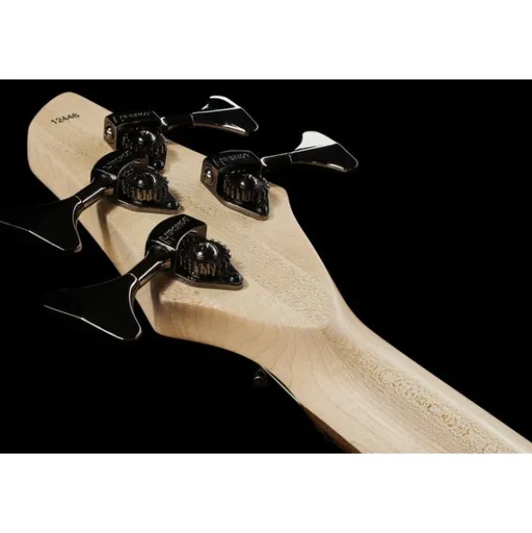 Dingwall CB3 Combustion 4 PF BB