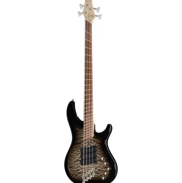 Dingwall CB3 Combustion 4 PF BB