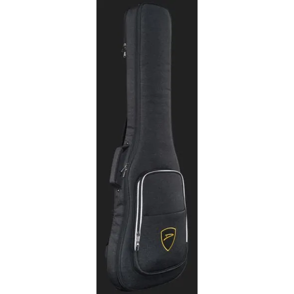 Dingwall CB3 Combustion 4 PF BB