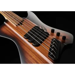 Dingwall D-Roc Std 5 Vintage Burst