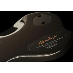 Dingwall John Taylor Signature 5 BK