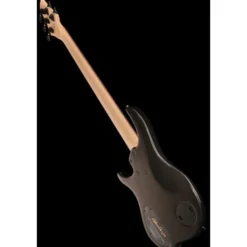 Dingwall John Taylor Signature 5 BK