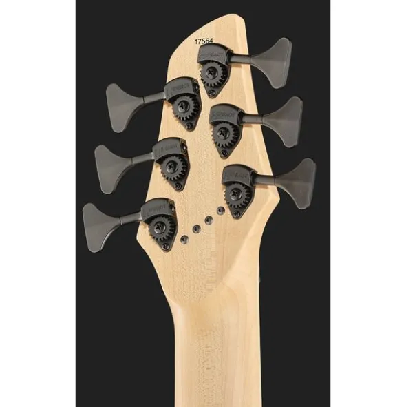 Dingwall NG3 Nolly Sig.6 Forest Custom