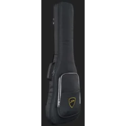Dingwall SP1 5 Bass DCG