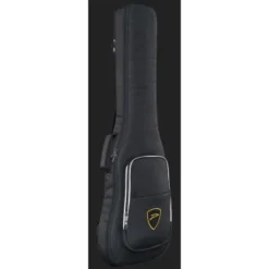 Dingwall SP1 5 Bass DW