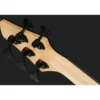 Dingwall Z Custom Shop FBB