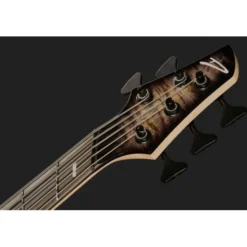 Dingwall Z Custom Shop FBB
