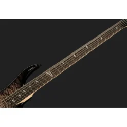 Dingwall Z Custom Shop FBB