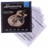 Duesenberg DSA09 String Set