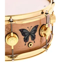 DW 13