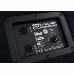 EBS NeoLine 210 Bass Cab
