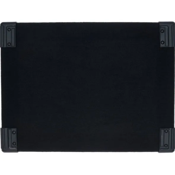 EBS NeoLine 210/ 8 Bass Cabinet