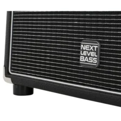 Eich Amplification 210 XS 8Ohm Cabinet II