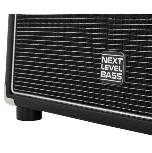 Eich Amplification 210 XS 8Ohm Cabinet II