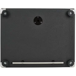 Eich Amplification 210 XS 8Ohm Cabinet II