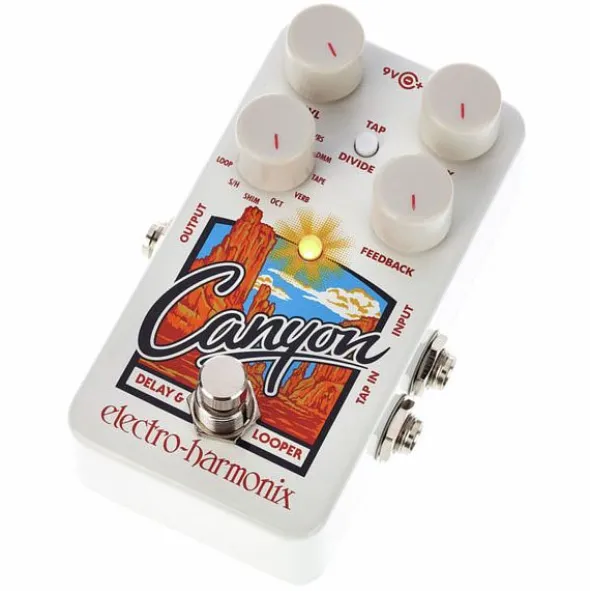 Electro Harmonix Canyon Delay & Looper