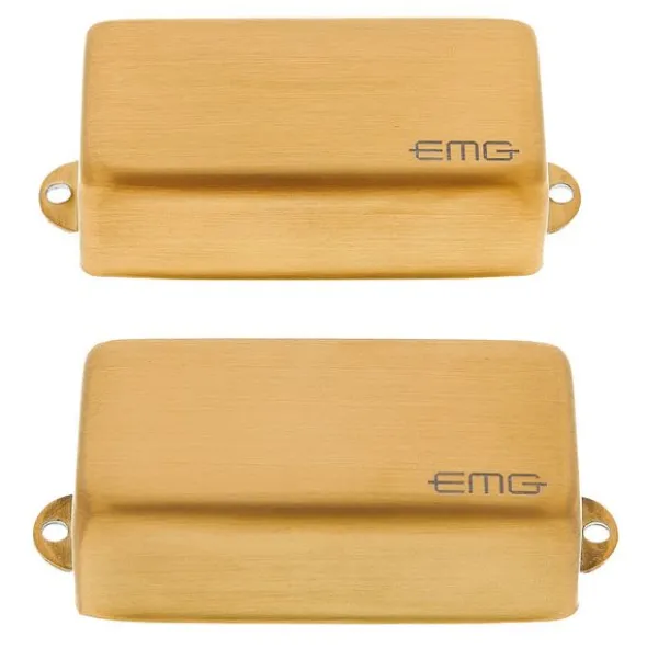 EMG Les Claypool LC Brushed Gold