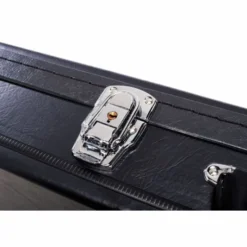 Epiphone Case Thunderbird