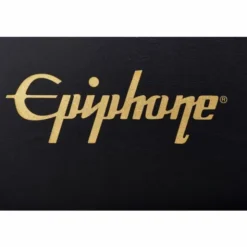 Epiphone Case Thunderbird