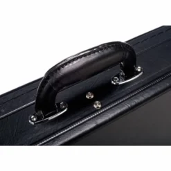 Epiphone Case Thunderbird