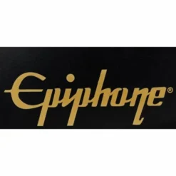 Epiphone 940-E519 Case