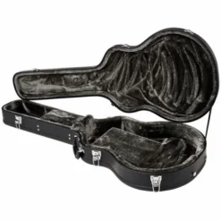 Epiphone 940-E519 Case
