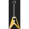 Epiphone Flying V Custom Futura SolS