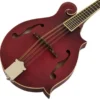 Epiphone F-5 Studio WR Satin
