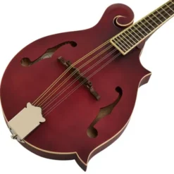 Epiphone F-5 Studio WR Satin