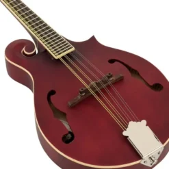Epiphone F-5 Studio WR Satin