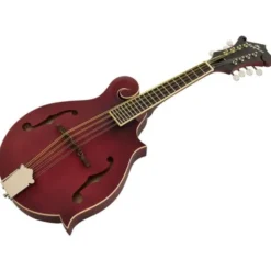 Epiphone F-5 Studio WR Satin