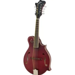 Epiphone F-5 Studio WR Satin
