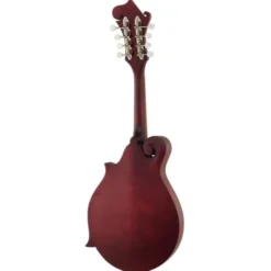 Epiphone F-5 Studio WR Satin