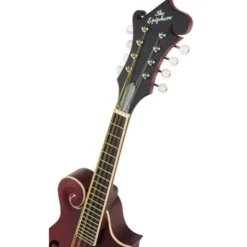Epiphone F-5 Studio WR Satin