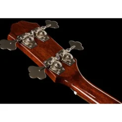 Epiphone Jack Casady Signature Bass SB