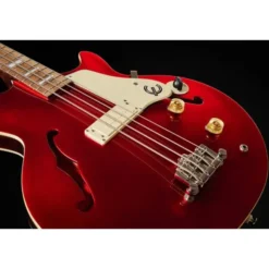 Epiphone Jack Casady Signature Bass SB
