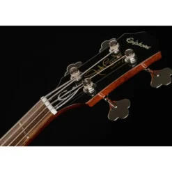 Epiphone Jack Casady Signature Bass SB